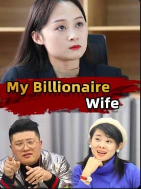 My Billionaire Wife