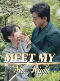 Meet My Mr. Right