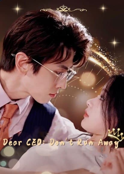 Dear CEO Don't Run Away