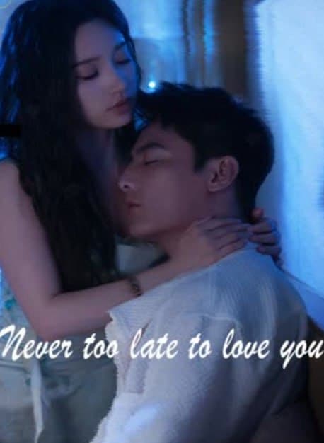 Never Too Late to Love You
