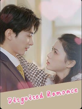 Disguised Romance