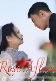 Rose Aflame