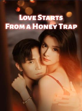 Love Starts From A Honey Trap