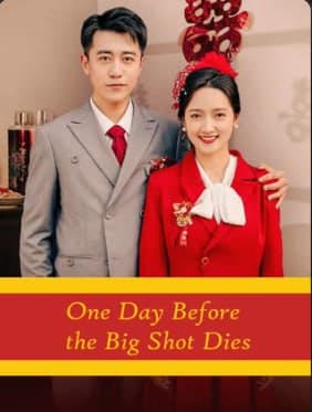 One Day Before the Big Shot Dies
