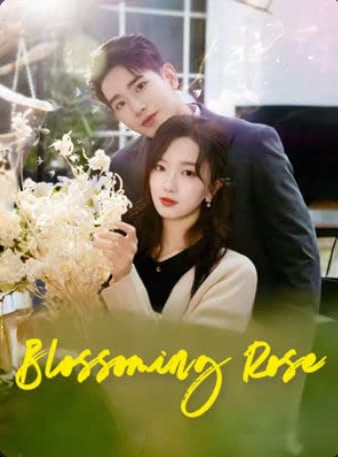 Blossoming Rose