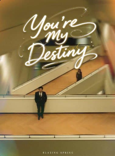 You're My Destiny