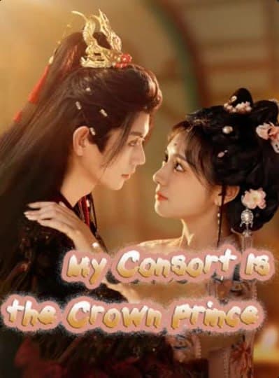My Consort is the Crown Prince