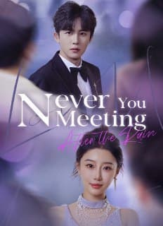 Never Meeting You After The Rain