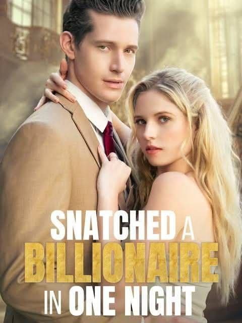 Snatched a Billionaire in One Night
