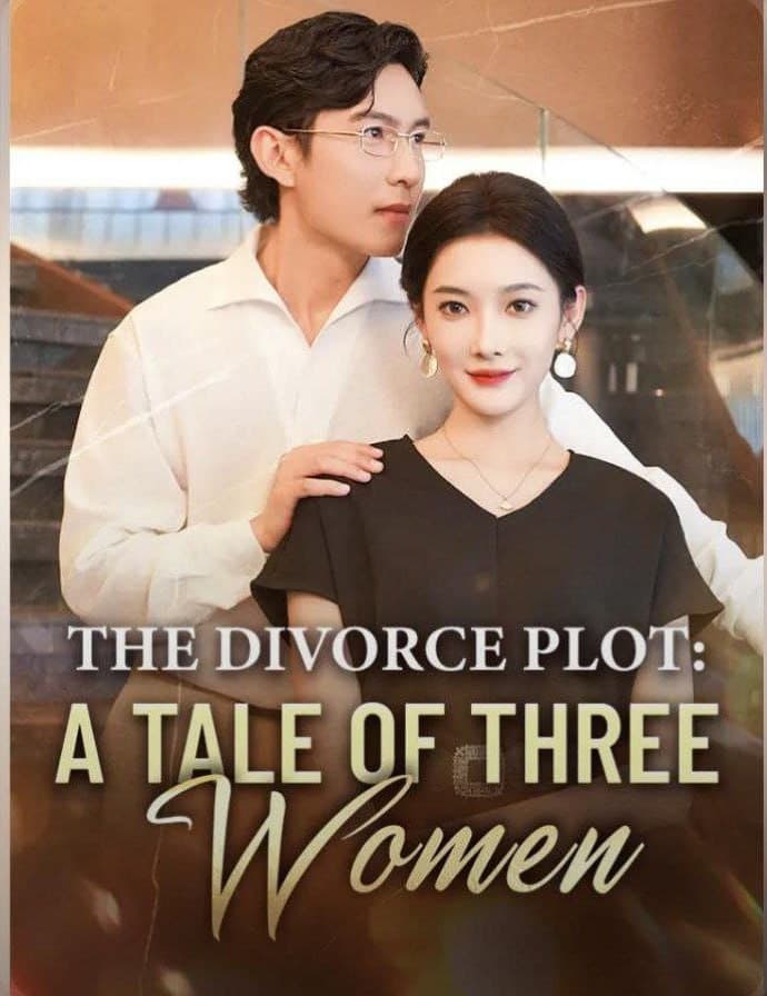 The Divorce Plot : A Tale of Three Women