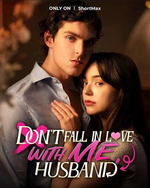Don't Fall in Love with Me Husband