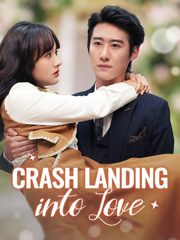 Crash Landing into Love