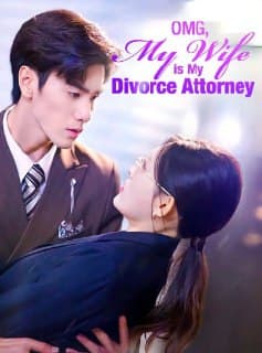 OMG, My Wife is My Divorce Attorney