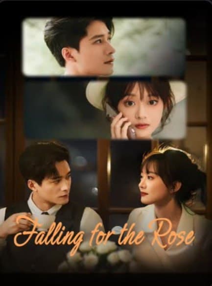 Falling for the Rose