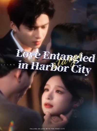 Love Entangled in Harbor City