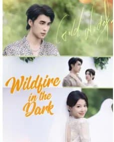 Wildfire In The Dark