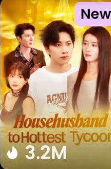 HouseHusband to Hottest Tycoon