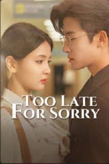 Too Late For Sorry