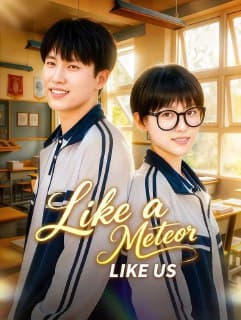 Like a Meteor Like Us