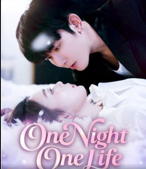 One Night, One Life
