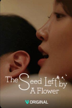 The Seed Left by a Flower