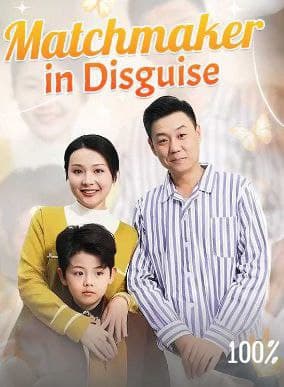 Matchmaker in Disguise