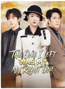 The One I Left Was My Right One
