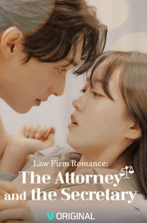 Law Firm Romance: The Attorney and the Secretary